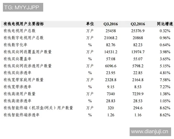 成都排球队技术分析与战术创新的深度探讨与展望