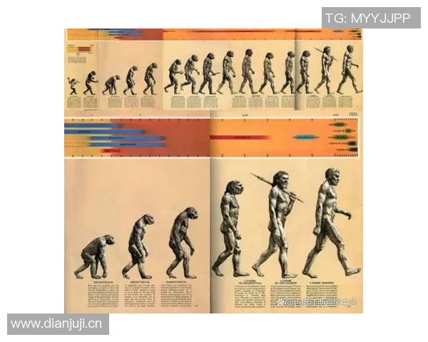 深圳网球队灵活性对比分析及其对比赛表现的影响探讨